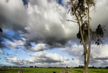 乐鱼体育-Faker意外战胜中国队，重要助攻引爆全场！