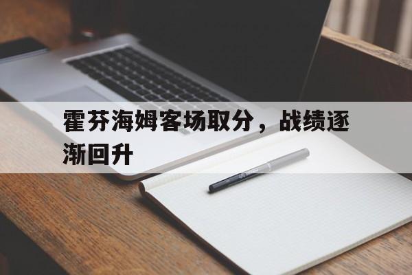 霍芬海姆客场取分，战绩逐渐回升